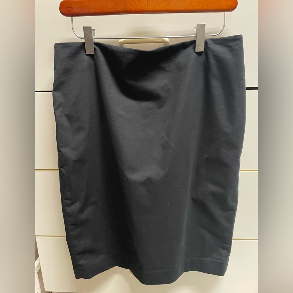 Ann Taylor Skirt